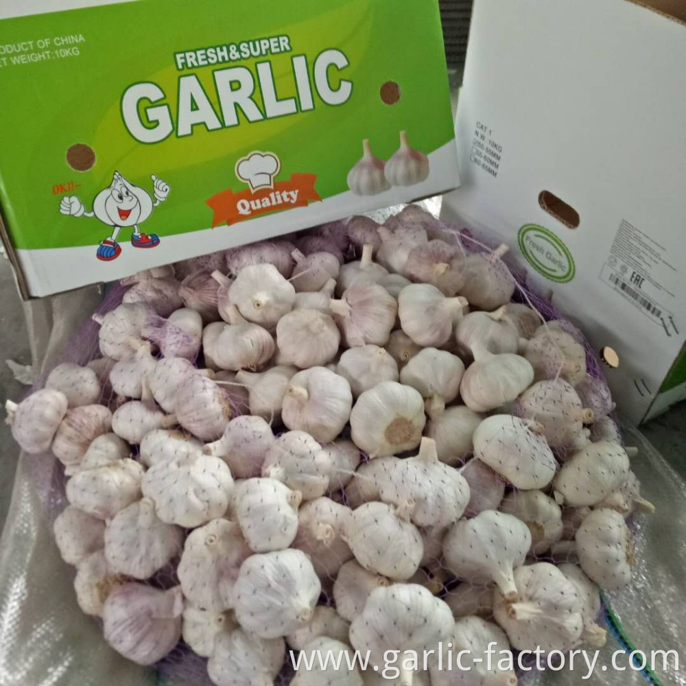 High Quality Bulk Garlic Hot Sales